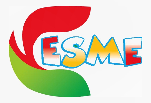 Essential Support for SME Ltd